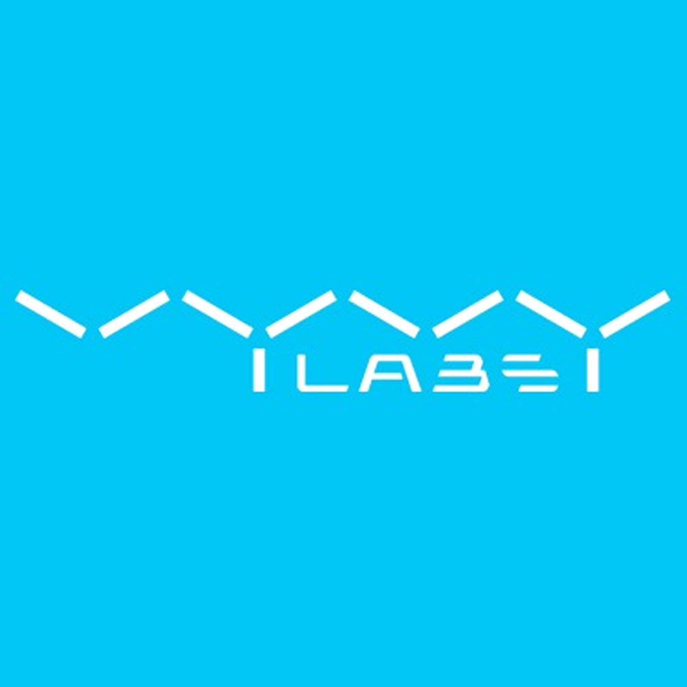 Vyvylabs